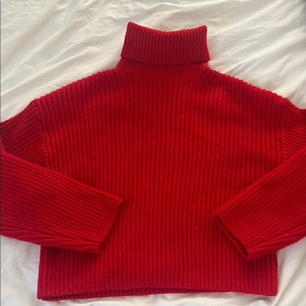 H&M Vibrant Red Ribbed Turtleneck Sweater
